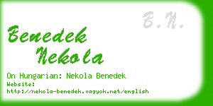 benedek nekola business card